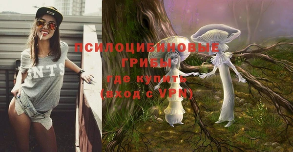 Альфа ПВП Верхнеуральск