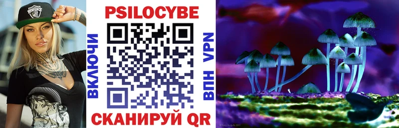 Галлюциногенные грибы Magic Shrooms  ссылка на мегу ССЫЛКА  Новоузенск 